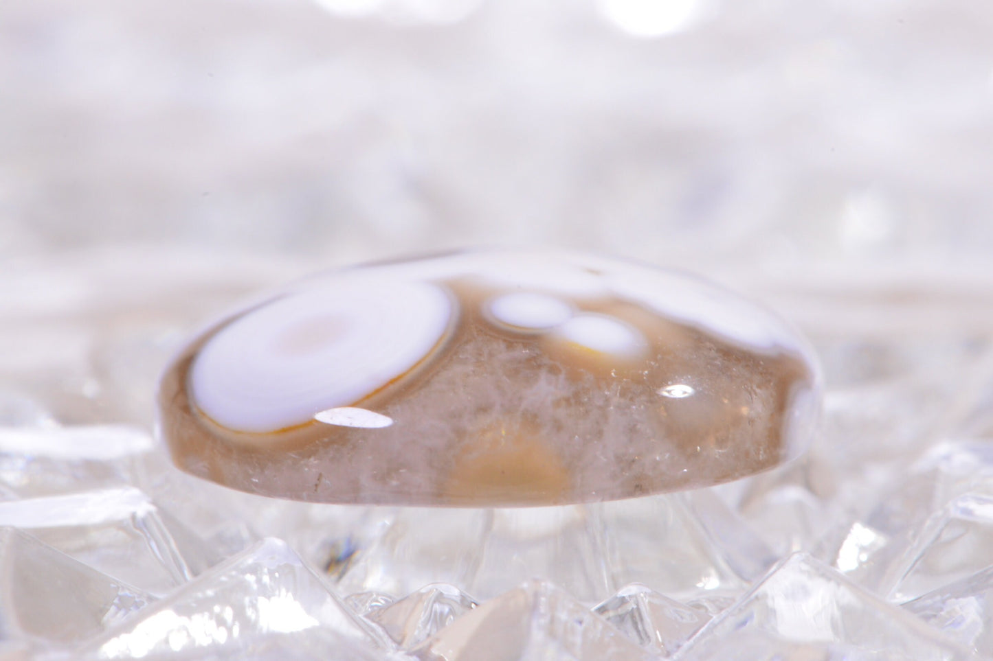Ocean Jasper Cabochon: Round Gemstone for Jewelry (20x5.6mm)
