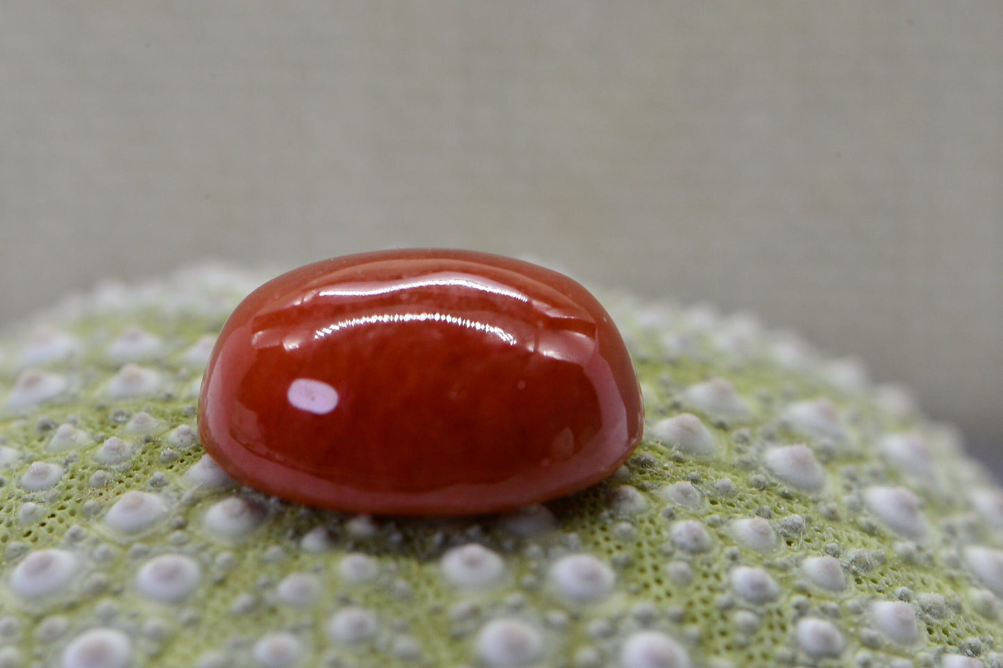 Yellow Jade Oval Cabochon: Natural Smooth Gemstone (12X10mm)