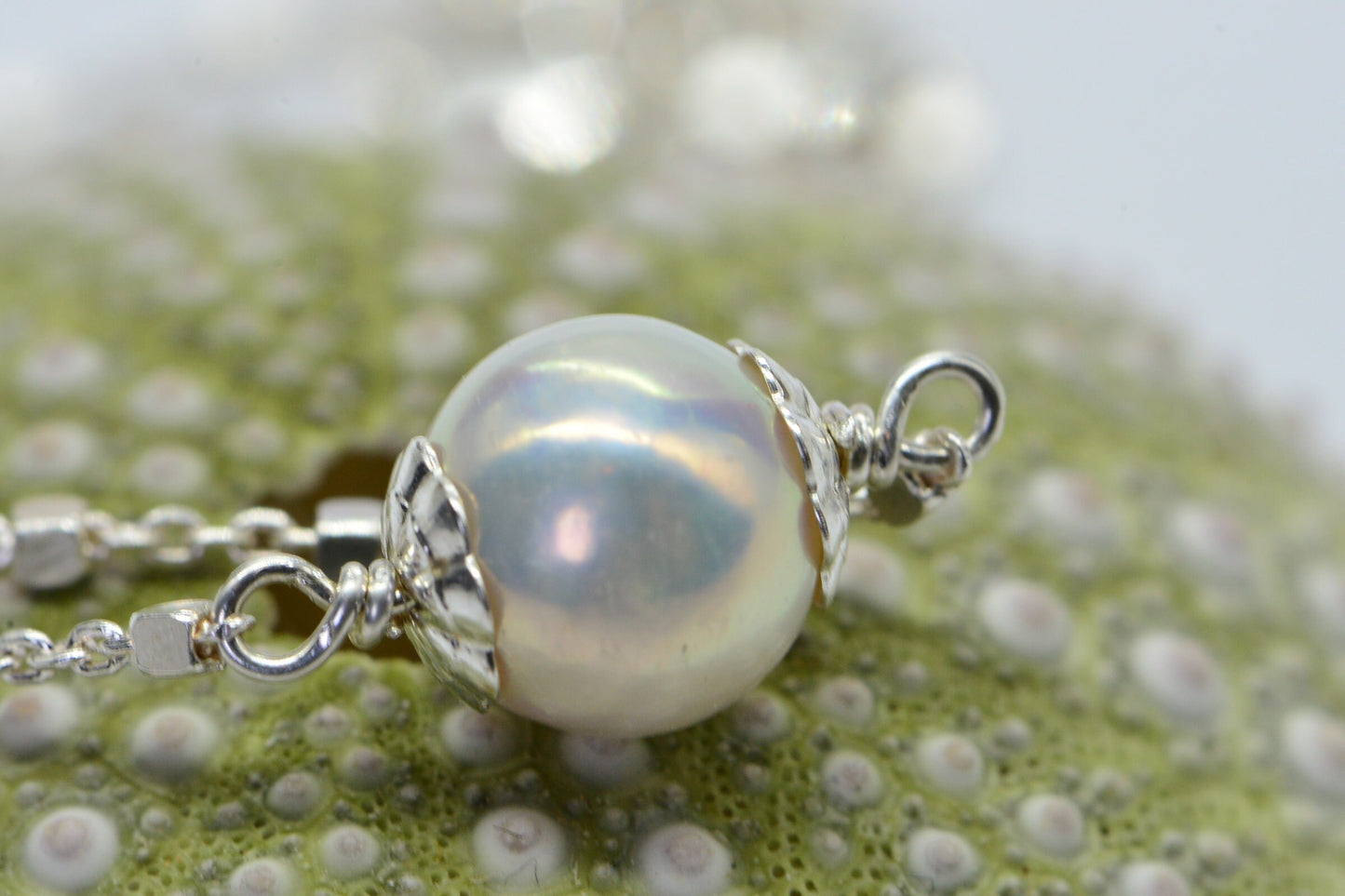 Freshwater Pearl Choker, Sterling Silver Satellite Chain, Single Pearl Necklace