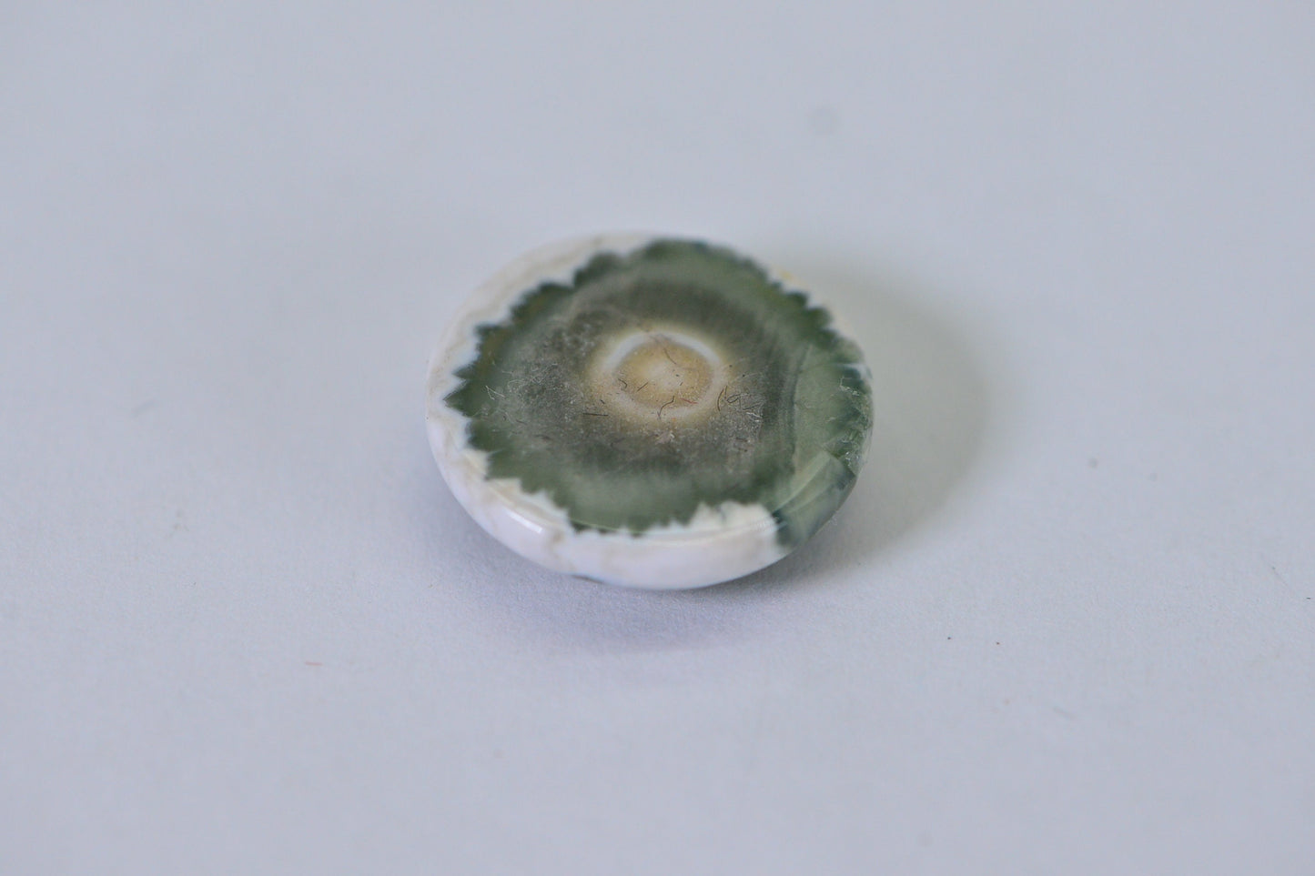 Ocean Jasper Cabochon: Round Gemstone, 16x5.6mm