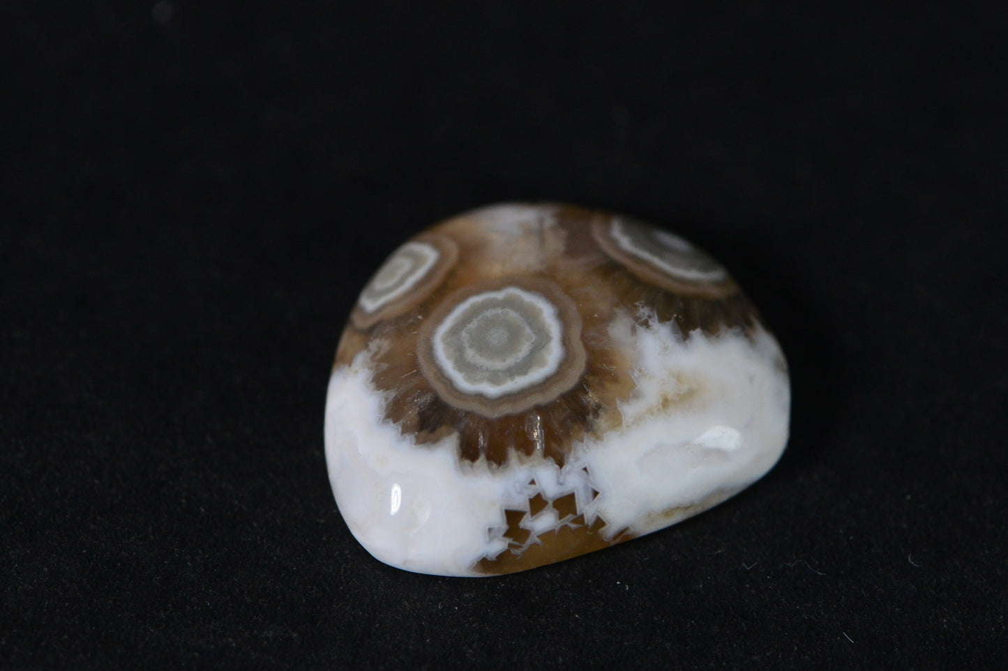 Natural Ocean Jasper Cabochon: Green & White Gemstone (19x16.2x5.95mm)