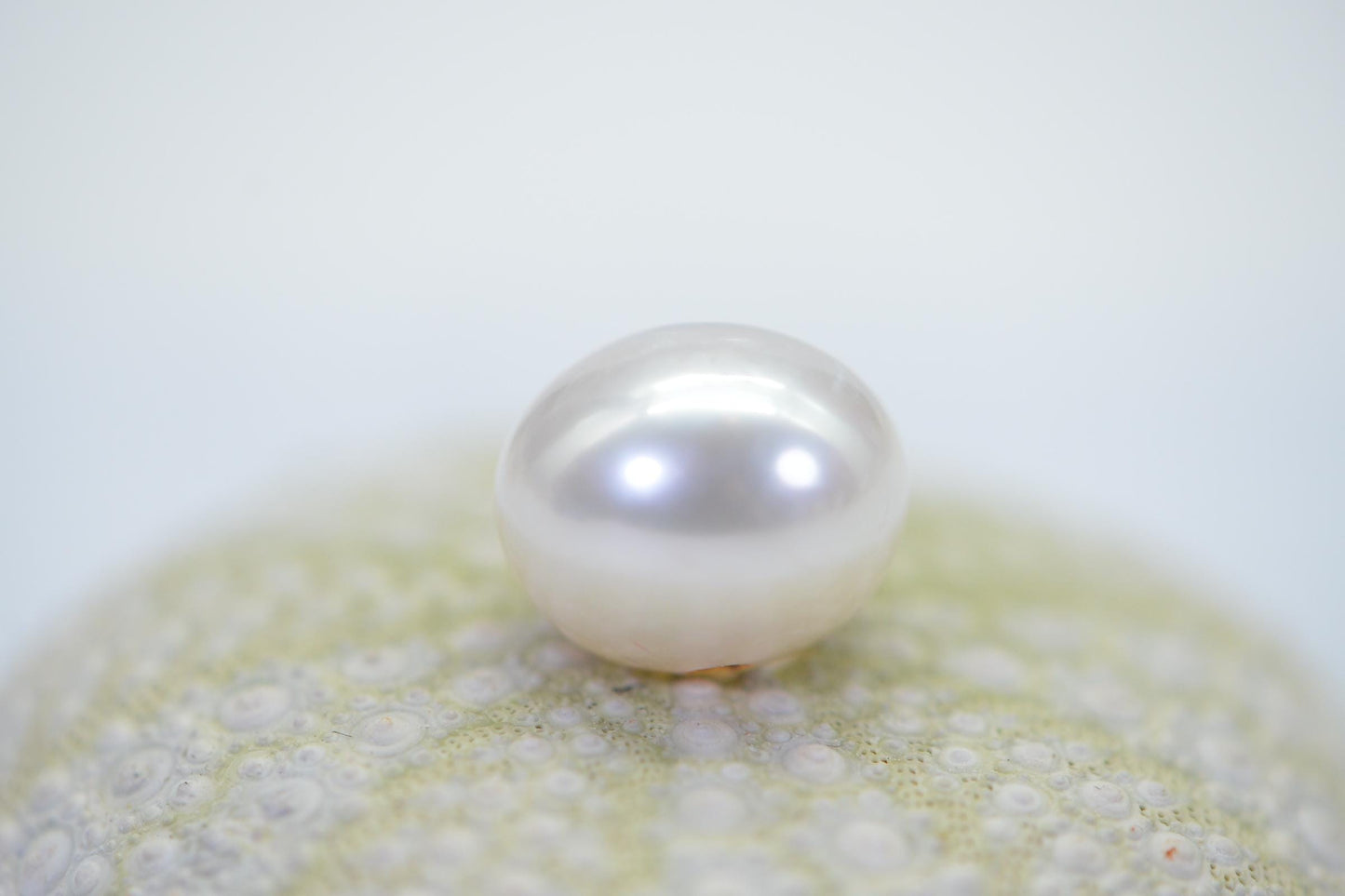 AA White South Sea Pearl: Large Hole Tahitian Loose Pearl (13mm)