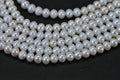 Genuine Freshwater Pearl Rondelle 5–5.5mm AAAD Excellent Luster White Ivory 15" Strand
