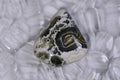 Ocean Jasper Cabochon: Teardrop Gemstone for Ring/Pendant (23x21x5.8mm)