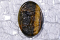 Carved Tiger Eye Gemstone Cabochon: Jewelry Supplies (54.4x35.8x4.8mm)