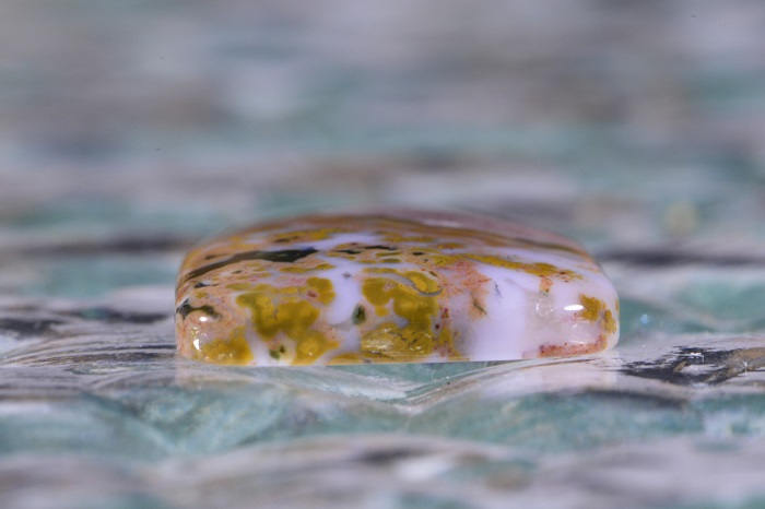 Ocean Jasper Cabochon: Madagascar Gemstone (22x17x3.7mm)