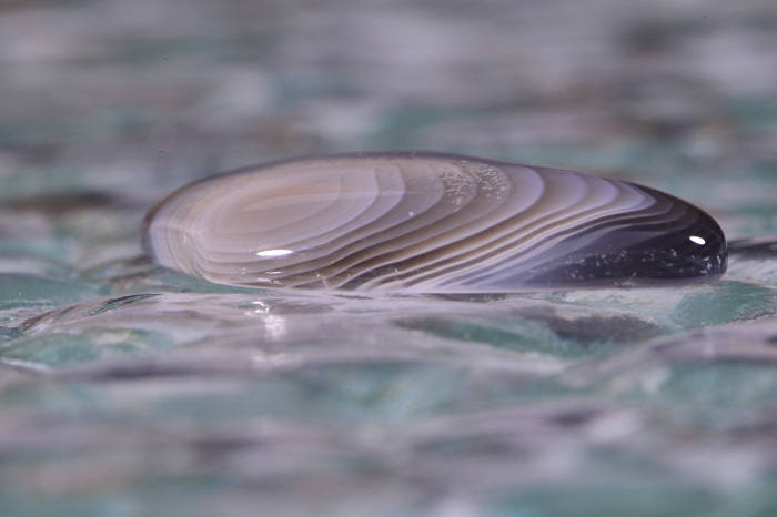 Banded Botswana Agate Cabochon: Natural Gemstone (30x19x4.8mm)