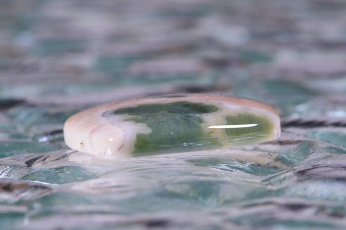 Ocean Jasper Cabochon: Green, Orange, and Yellow Gemstone (28x23x4.6mm)