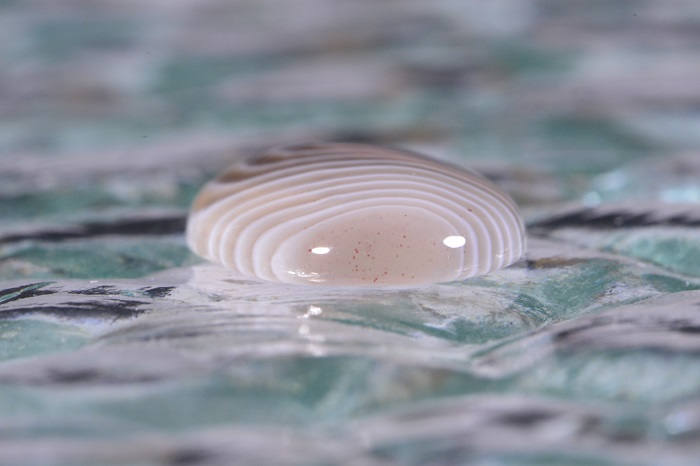 Banded Botswana Agate Cabochon: Teardrop Gemstone (25x15x4.4mm)