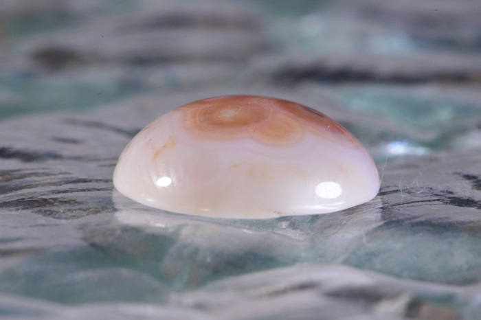 Ocean Jasper Cabochon: Natural Gemstone for Jewelry (14.4x4mm)