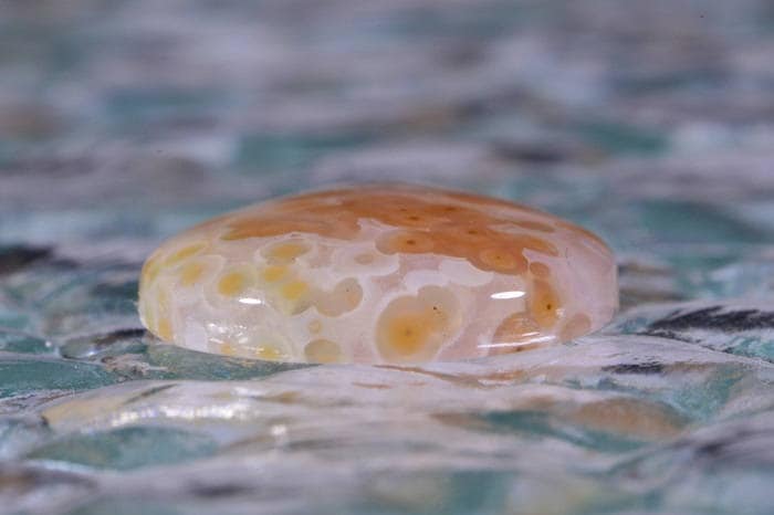 Teardrop Ocean Jasper Cabochon: Orange, White, and Brown Gemstone (30x22x5.3mm)
