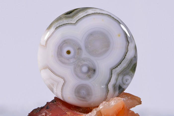 Ocean Jasper Cabochon: Ringed Orb Gemstone (25x5.2mm)