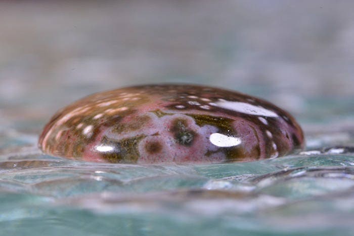 Ocean Jasper Cabochon: Oval Gemstone, 34x25x5.8mm