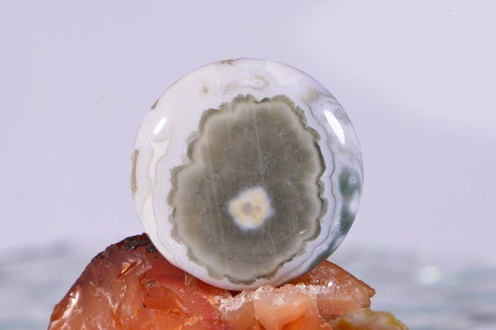 AAA Ocean Jasper Cabochon: Round Gemstone, 27.2ct (25x5.6mm)