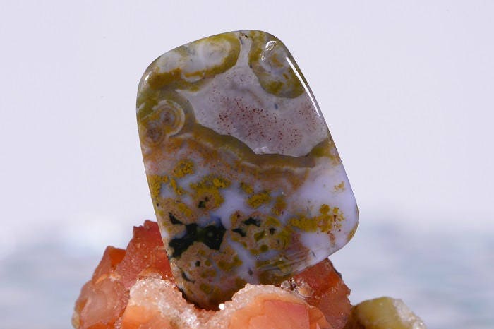 Ocean Jasper Cabochon: Madagascar Gemstone (22x17x3.7mm)