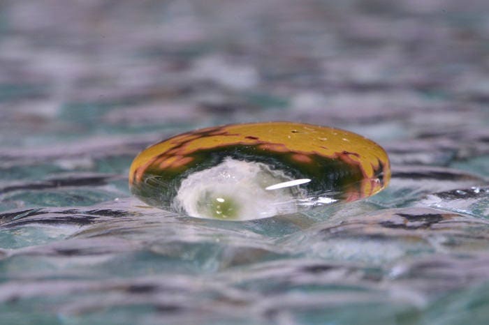 Teardrop Ocean Jasper Cabochon: Green, Yellow, and Red Gemstone (30x22x5.5mm)