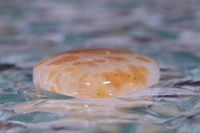Teardrop Ocean Jasper Cabochon: Orange, White, and Brown Gemstone (30x22x5.3mm)