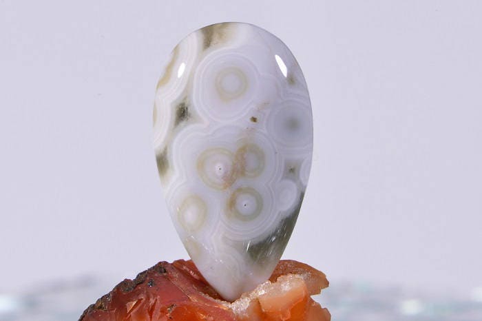 Ocean Jasper Teardrop Cabochon: Ringed Gemstone (34x20x6.2mm)