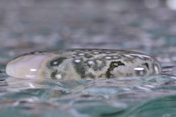 Ocean Jasper Cabochon: Oval Gemstone, 34x25x5.5mm