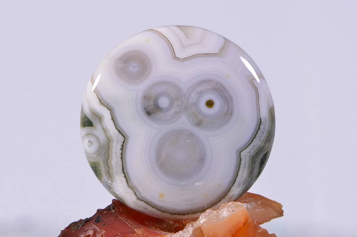 Ocean Jasper Cabochon: Ringed Orb Gemstone (25x5.2mm)