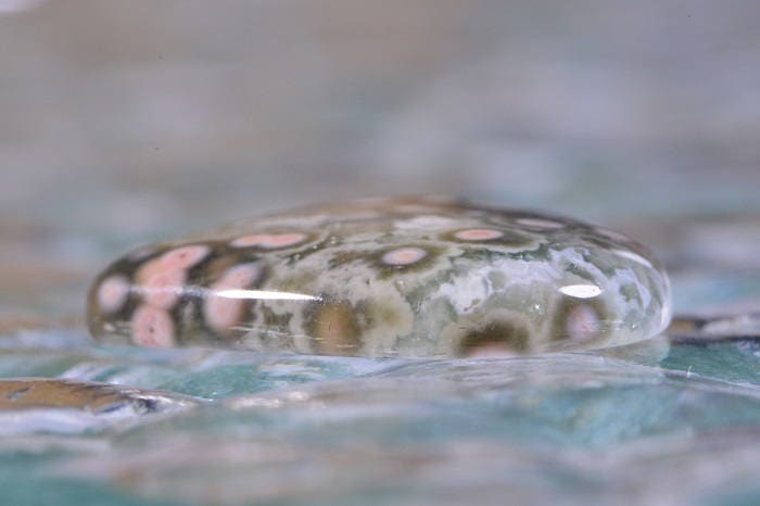 Ocean Jasper Teardrop Cabochon: Gem Quality Stone (23x27x4.6mm)