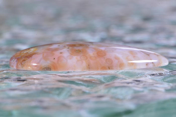 AAA Ocean Jasper Cabochon Teardrop: Gem Quality Stone (40x30x5.8mm)