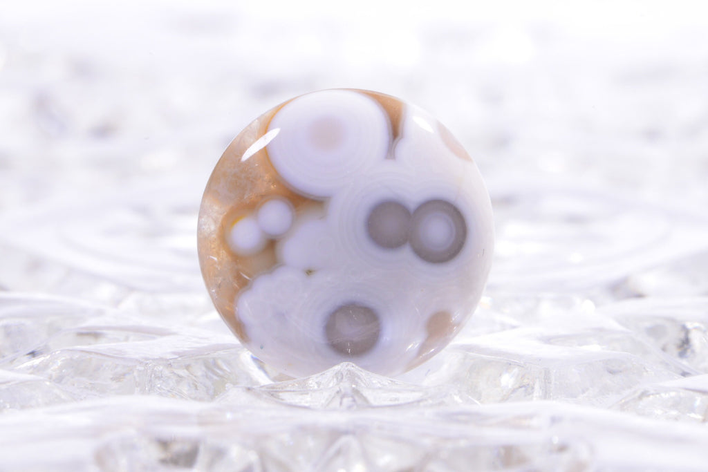 Ocean Jasper Cabochon: Round Gemstone for Jewelry (20x5.6mm)
