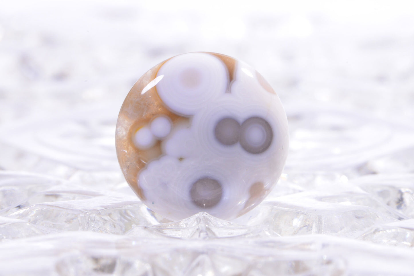 Ocean Jasper Cabochon: Round Gemstone for Jewelry (20x5.6mm)