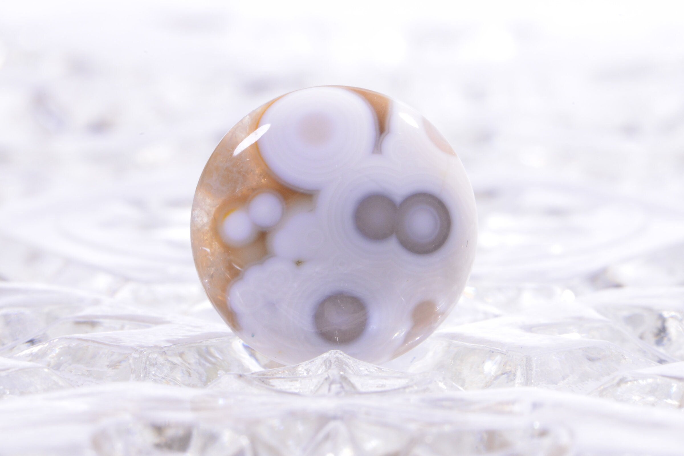 Ocean Jasper Cabochon: Round Gemstone for Jewelry (20x5.6mm)