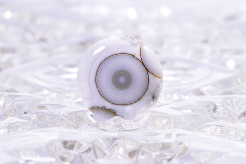 Ocean Jasper Cabochon: Round Gemstone, 20x5.6mm