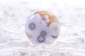 Ocean Jasper Cabochon: Round Gemstone for Jewelry (20x5.6mm)