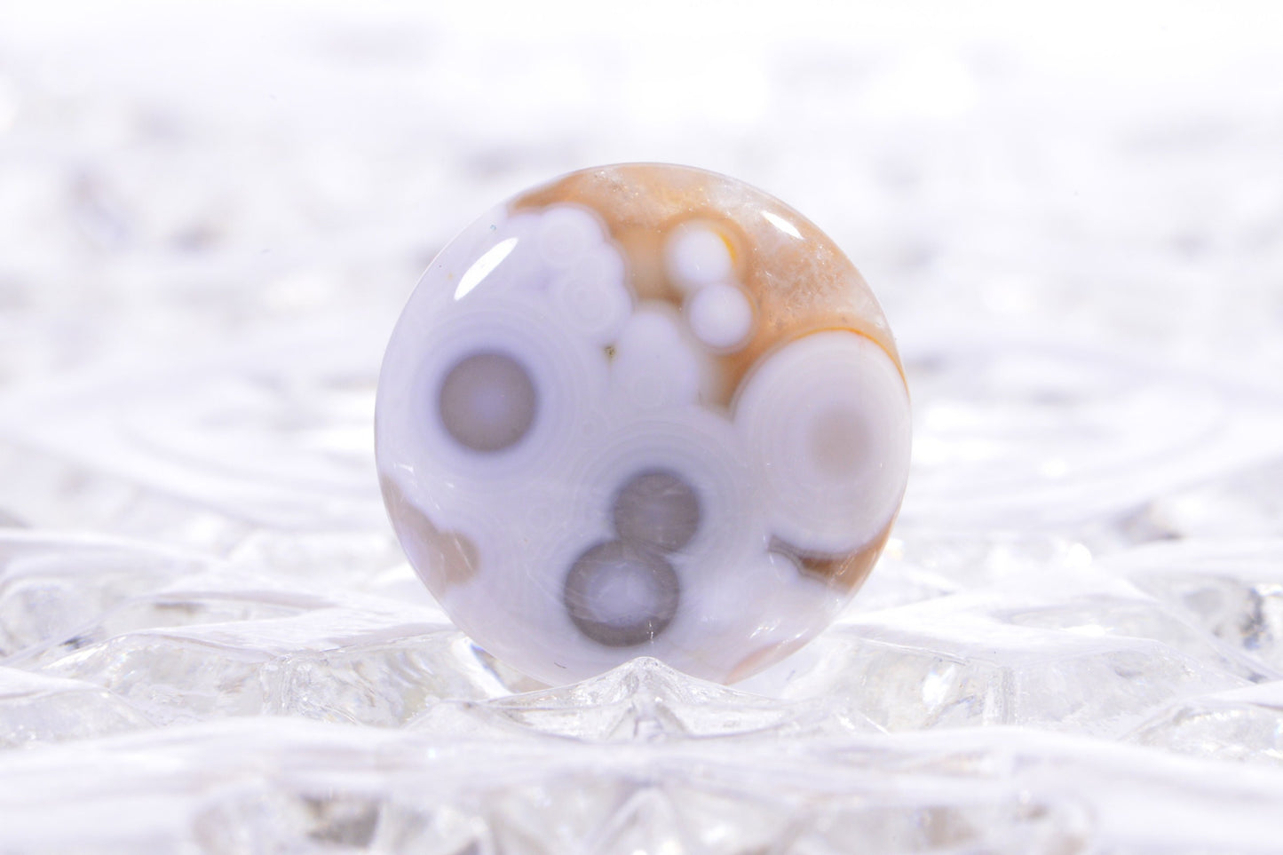 Ocean Jasper Cabochon: Round Gemstone for Jewelry (20x5.6mm)