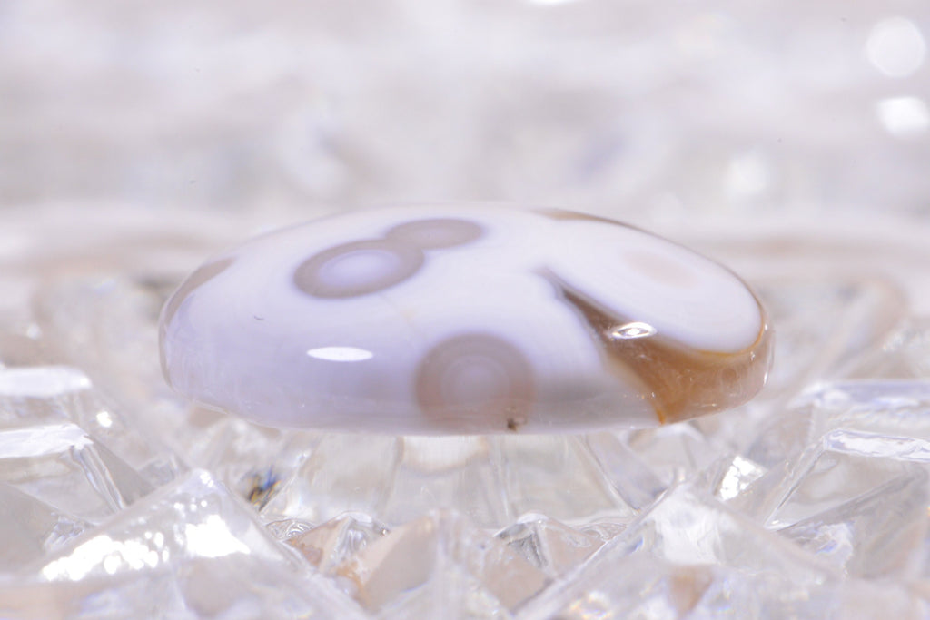 Ocean Jasper Cabochon: Round Gemstone for Jewelry (20x5.6mm)
