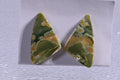 Rainforest Jasper 2 Cabs Natural Gemstone Cabochon Jewelry Supplies Rainforest