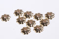 14K Gold Filled Flower Bead Caps: Jewelry Making (4mm, 10pcs)