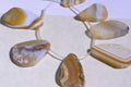 Lace Agate app.20x35x4mm 9pcs Natural Gemstone Bead Supplies Bead Supplier