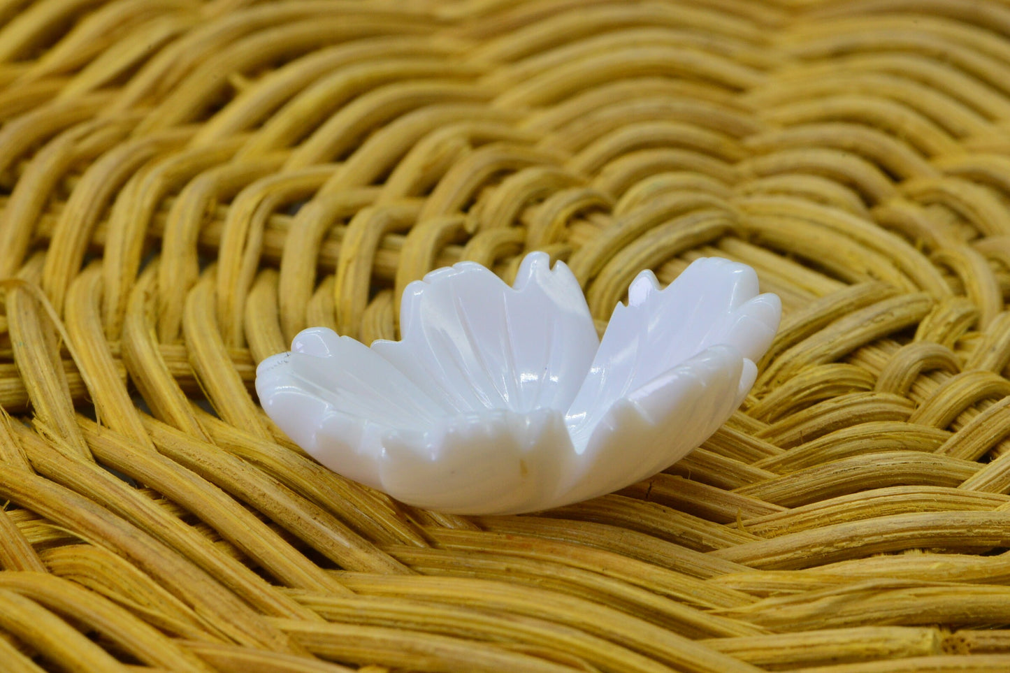 30mm Queen conch Pink shell Carved Large Flower Lily   Single Pendant  Gemstone Beads