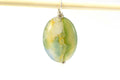 Ocean Jasper Cabochon: Green, White, Yellow Gemstone (16x12x4.1mm)