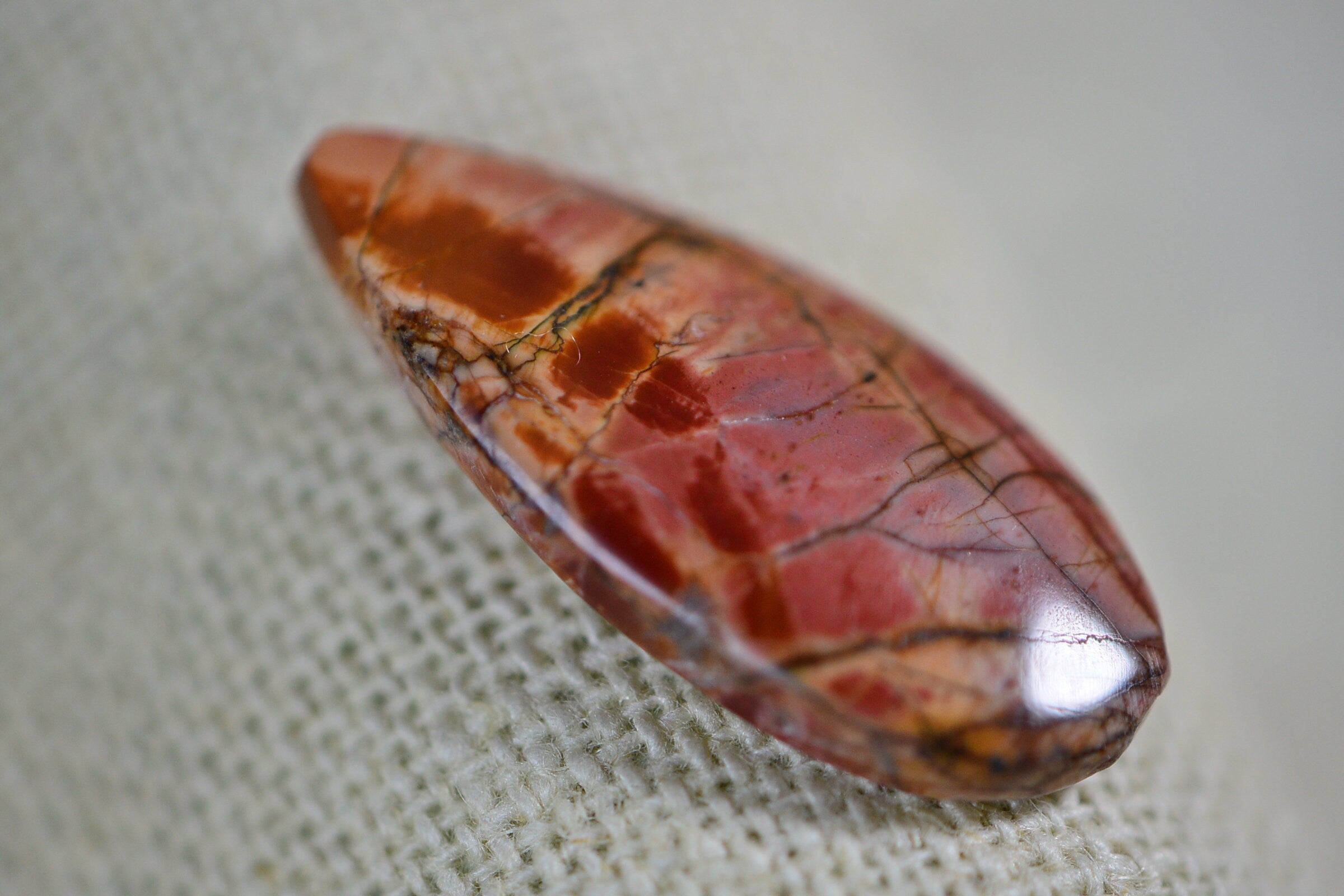 Cherry Creek Jasper Cabochon: Freeform Gemstone (27x11.8x4.3mm)