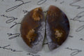 Crescent Cabochon Ocean Jasper matched pair Undrilled Cabochon