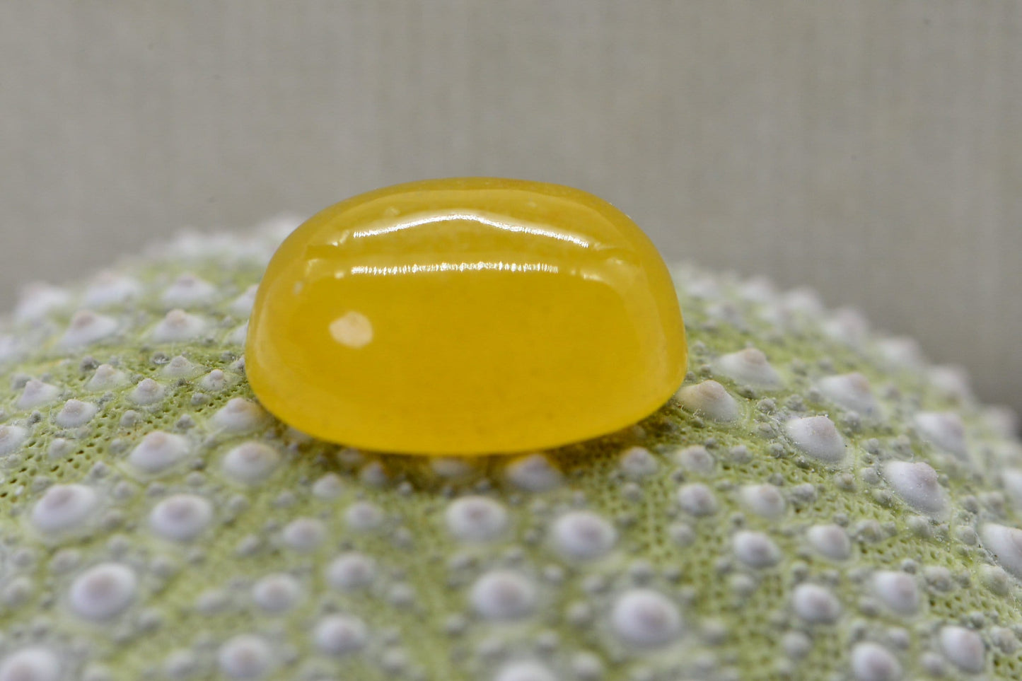 Yellow Jade Oval Cabochon: Natural Smooth Gemstone (12X10mm)