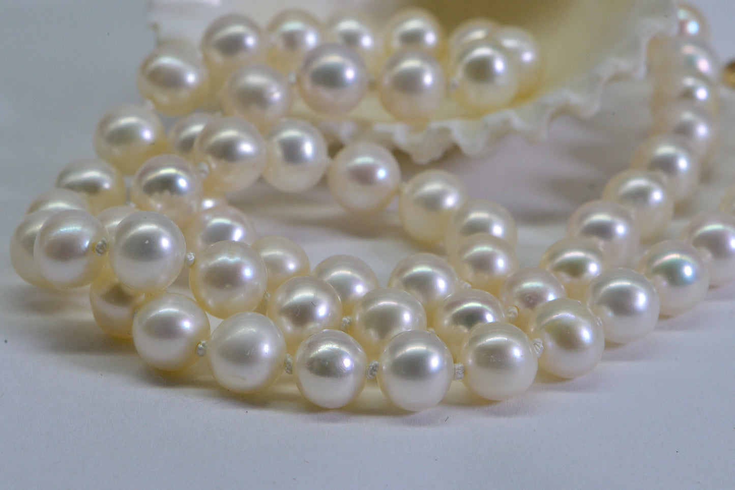 AAA Freshwater Pearl Necklace: 14K Gold, Knotted Silk Cord