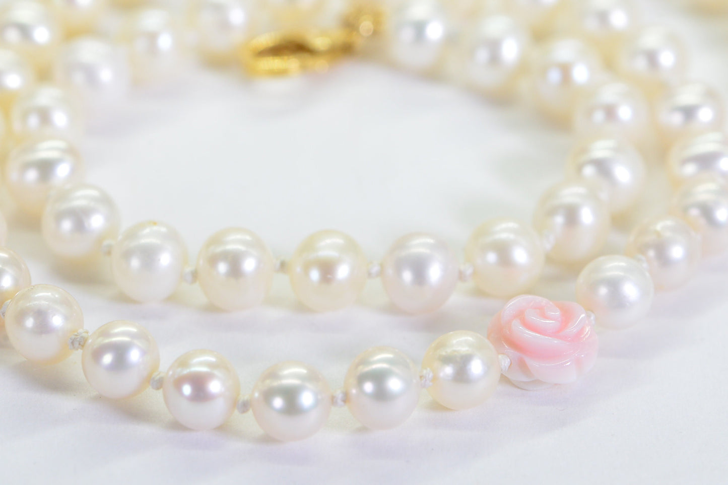 Freshwater Pearl Necklace: Queen Conch Shell Rose, Knotted Pearl Choker