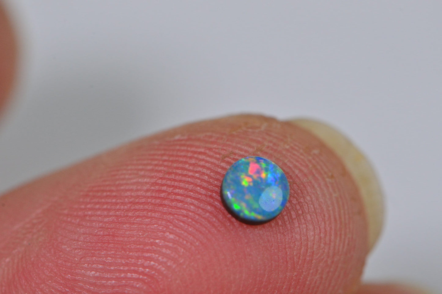 1 stone  Australian Black Opal Cabochons: Blue Green Round Gemstones (4mm)