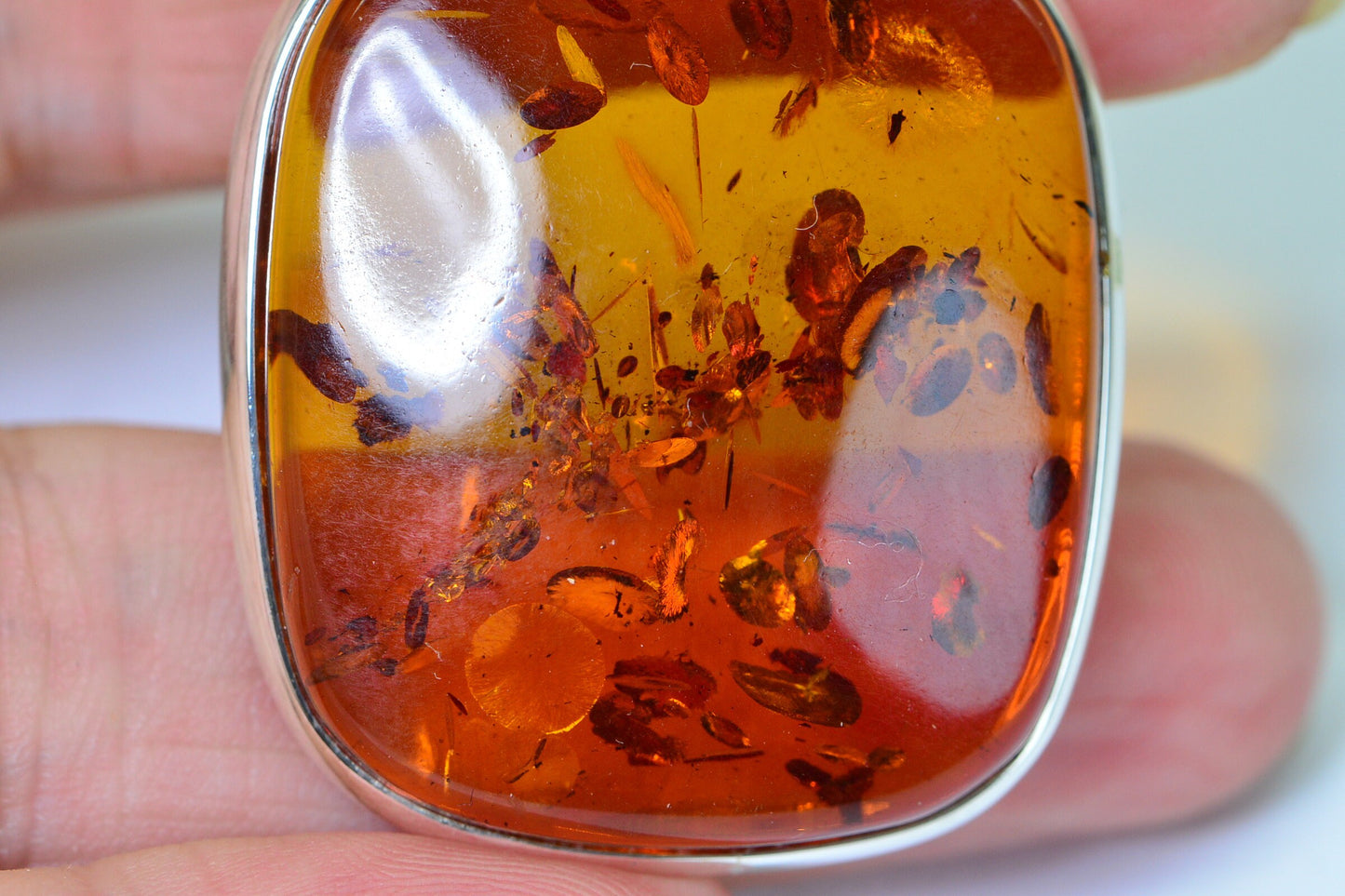Large Baltic Amber Pendant Necklace: Sterling Silver Omega Choker
