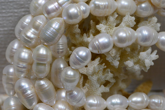 Pearl Beads Cultured White Pearl JewelryMaking Supplies