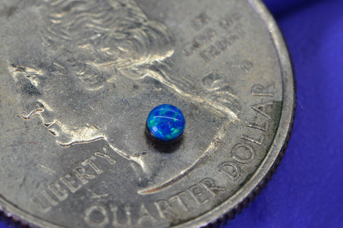 1 stone  Australian Black Opal Cabochons: 2.5mm Round AAA++ Gemstone Supplies