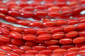 Red Coral 7.7x3.8mm Beads Gemstone Beads Jewelry Making Supplies