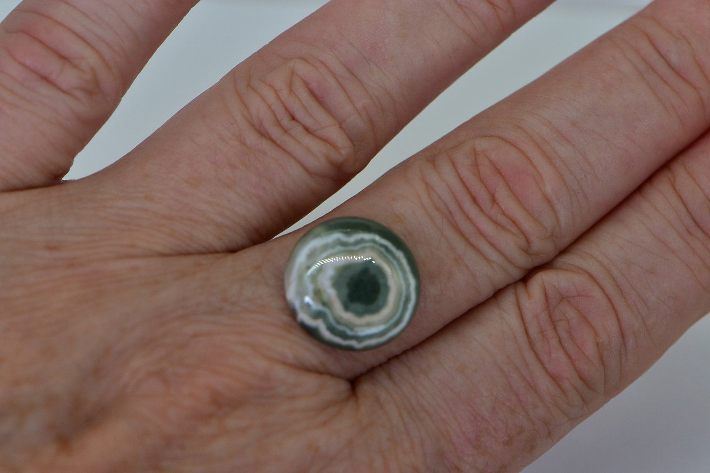 Green Ocean Jasper Cabochon: Round Gemstone for Jewelry Making (16x5.6mm)