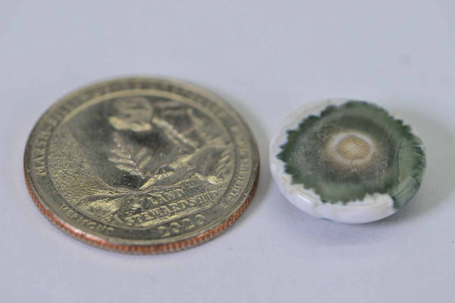 Ocean Jasper Cabochon: Round Gemstone, 16x5.6mm